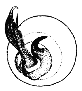 speciesimage