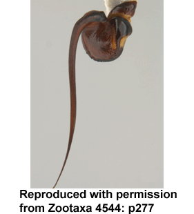 speciesimage