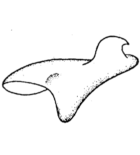 speciesimage