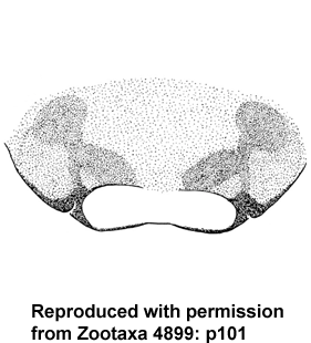 speciesimage