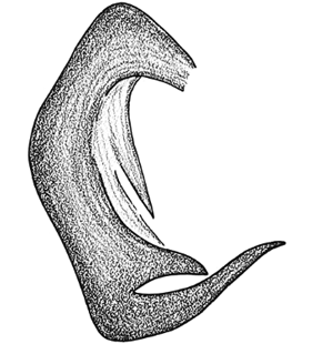 speciesimage