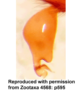 speciesimage