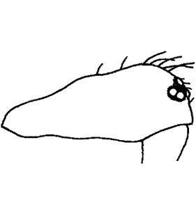 speciesimage