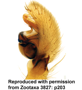 speciesimage