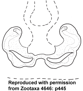 speciesimage