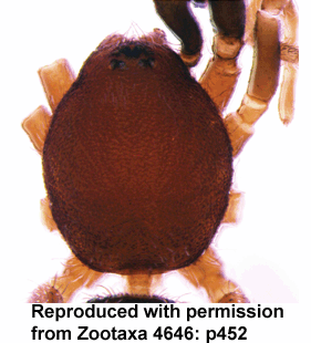 speciesimage