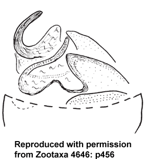 speciesimage
