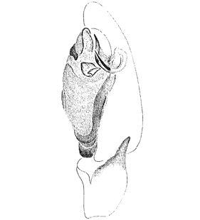 speciesimage