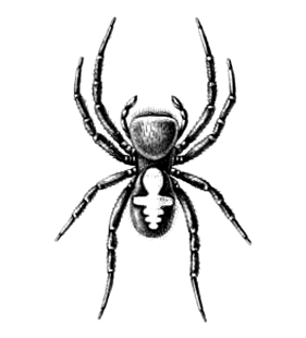 speciesimage