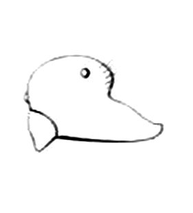 speciesimage