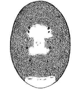 speciesimage