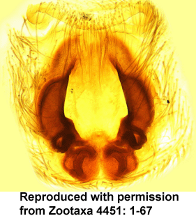 speciesimage