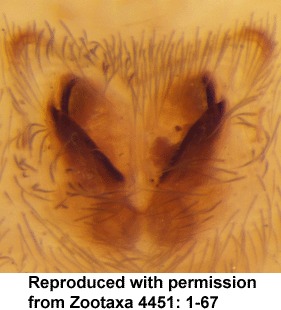 speciesimage
