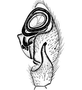 speciesimage