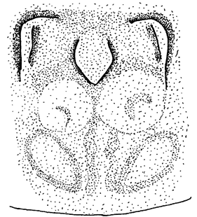speciesimage