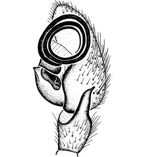 speciesimage
