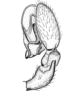 speciesimage