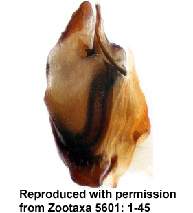 speciesimage