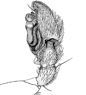 speciesimage