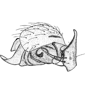 speciesimage