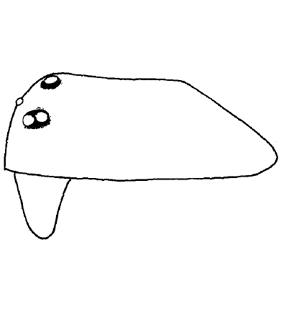 speciesimage