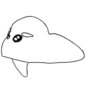 speciesimage