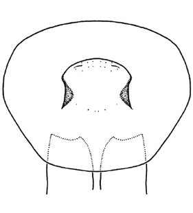 speciesimage