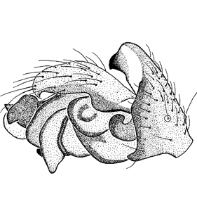 speciesimage