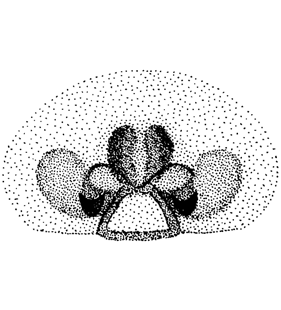 speciesimage