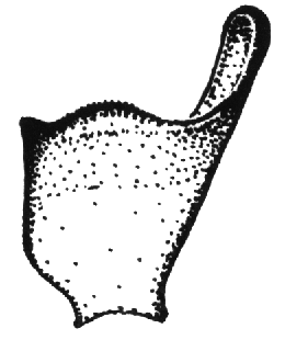 speciesimage
