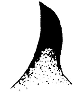 speciesimage