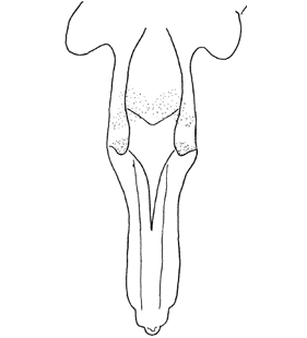 speciesimage