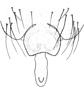 speciesimage