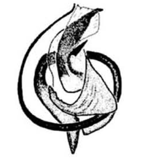 speciesimage