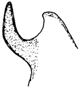 speciesimage