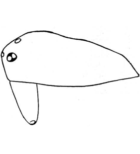 speciesimage
