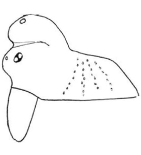 speciesimage