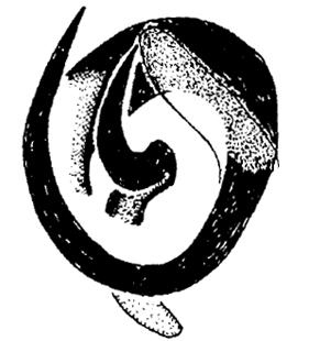 speciesimage