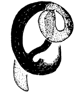 speciesimage