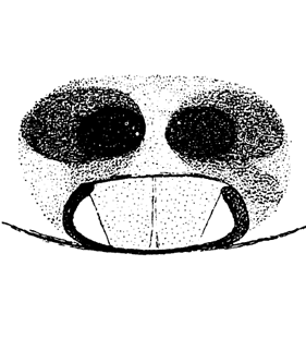 speciesimage