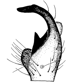 speciesimage