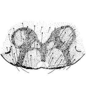 speciesimage