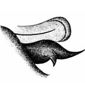 speciesimage