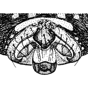 speciesimage