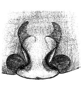 speciesimage