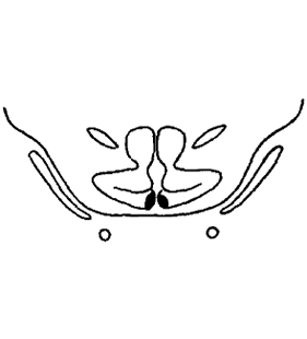 speciesimage