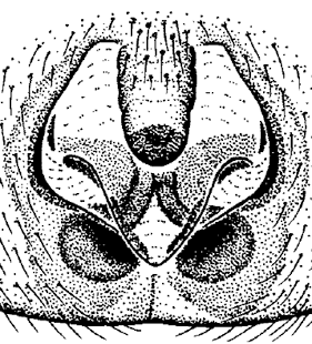 speciesimage