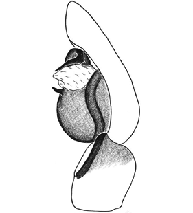 speciesimage