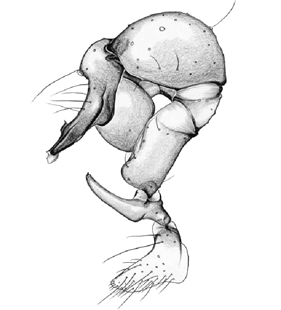 speciesimage