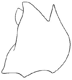 speciesimage